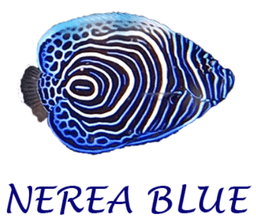 nereaBlue logo